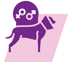 pink and purple geometric icon of a dog wearing a cone next to spay and neuter symbols