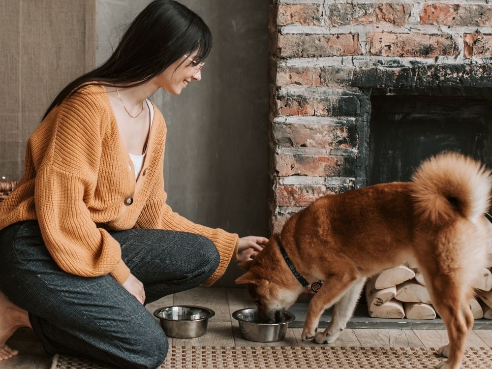 A person kneels beside a dog eating from a bowl in front of a brick fireplace.