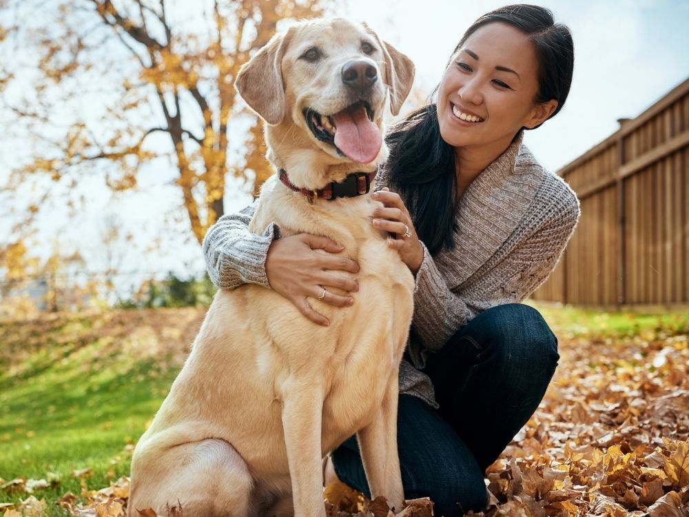 A person crouching and hugging a golden labrador dog outdoors surrounded by autumn leaves.
