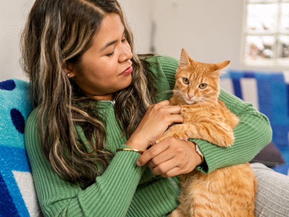 A person in a green sweater holds an orange tabby cat while sitting on a couch with a blue and white patterned blanket.