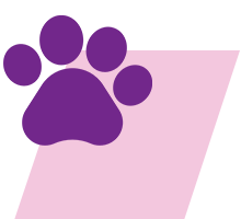 pet-water-cremations-icon